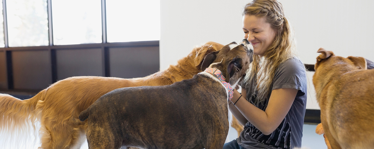 corsi riconosciuti interventi assistiti con animali